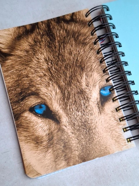 Zápisník Průvodce