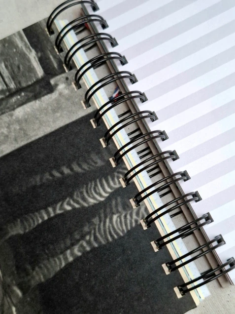 Zápisník Průvodce