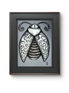 Brouk č.1 do sbírky brouků  - originál