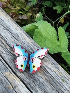 Brož Motýl Bělásek