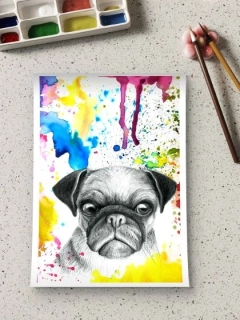 Mops - tištěný obrázek