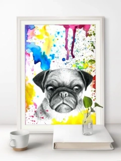 Mops - tištěný obrázek