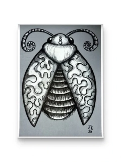 Brouk č.1 do sbírky brouků  - tištěný obrázek