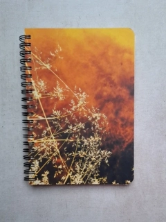 Zápisník Hořící louka